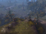 Le deuxi�me effet Diablo III