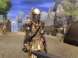 Neverwinter Nights 2 passe en Gold