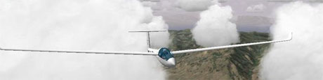 silentwings.jpg